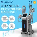 2019 Newest Whole body slimming, hot sale cryolipolysis 4 handles fat removal