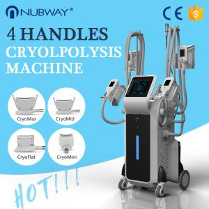 China 4 handles coolsculpting cryolipolysis fat freezing slimming system 4 handles work at the same time factory