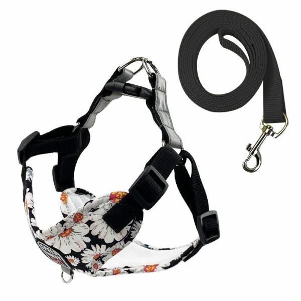 Reflective Breathable Dog Traction Rope Walking Dog Printed Dog Rope Large And
