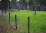 galvanized chain link fence,secure and durable choice in permanent fencing