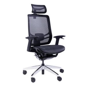 China Inflex X Adjustable Ergonomic Swivel Office Chair With Head Rest Lumbar Support factory