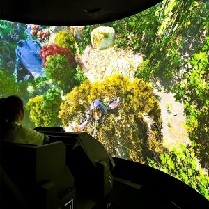 China Virtual Reality Customized Naked Eye 3d Cinema Simulator factory