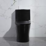 Elongated Bowl Dual Flush One Piece Toilet With Round Bowl 1.28 GPF/4.8LPF