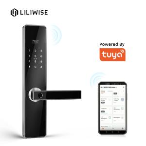 China Intelligent Gate Lock Keyless Fingerprint Door Lock Tuya TTlock Control For Home Wooden Door Locks factory