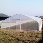 Green House Metal Frame Fruits With Ventilated PC Board Design Tunnel Greenhouse