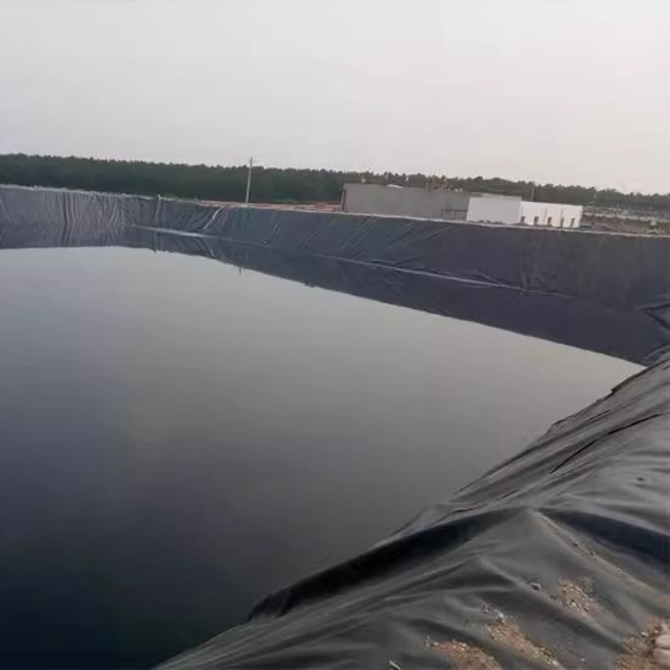 Modern Design Smooth Geomembrane 0.5mm 1mm 2mm Fish Pond Liner Waterproof Direct Sell