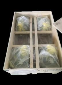 China R902205771 AA11VLO190DR/11L-NSD62N00 Excavatorplungerpump factory