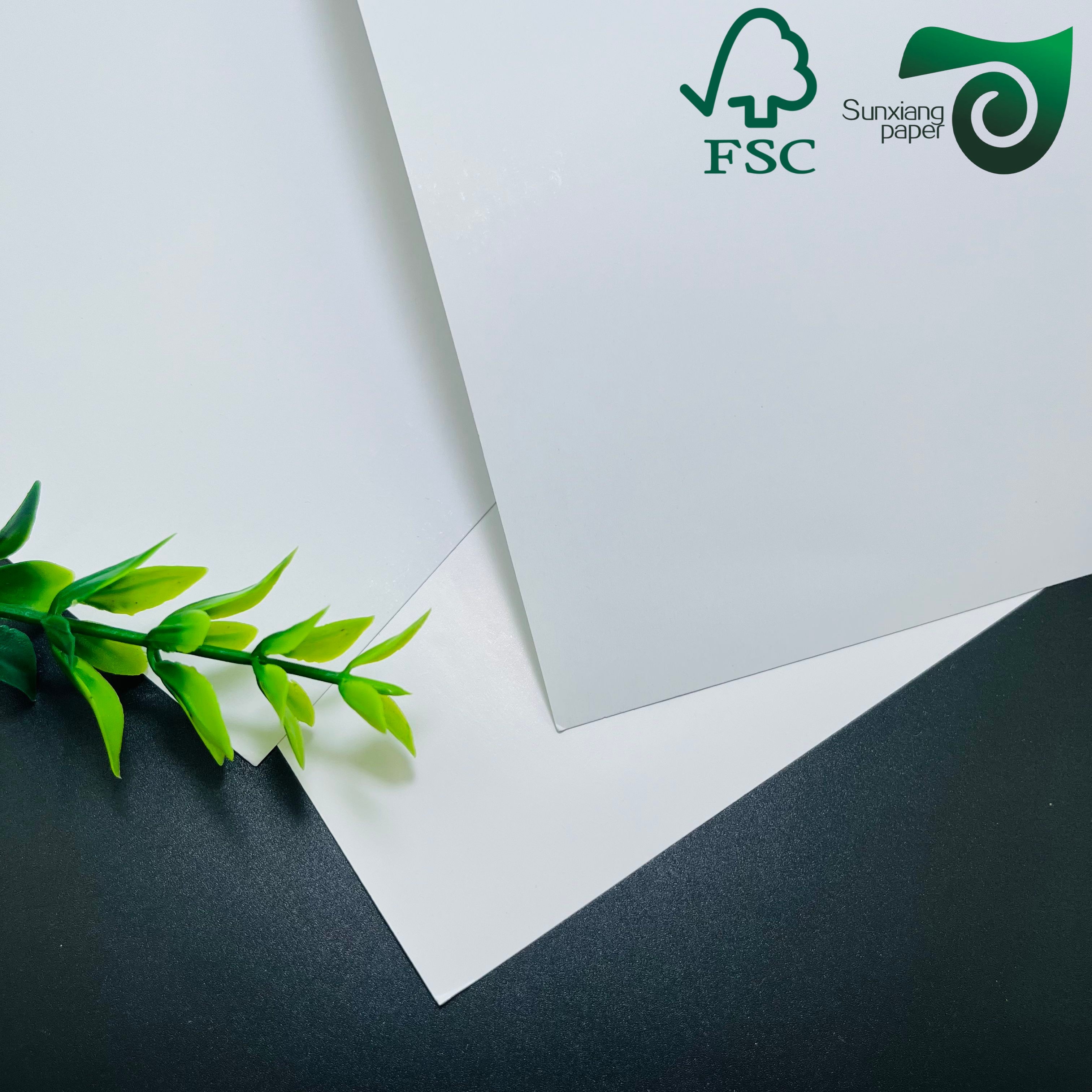 China FSC 80gsm 90gsm Super White Gloss Mirror Cast Coated Paper For Sticker 20 30 Inches factory