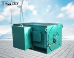 Y900 High Voltage Electric Motors For Mining Industry 10kv 50hz