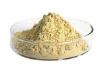 Pharmaceutical 80% Panax Root Natural Ginseng Extract Powder
