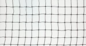 China Square Mesh Anti Bird Netting factory
