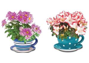 China Garden Ceramic Jumbo Tea Cup Planters With Attached Saucer Stripe / Polka Dots factory