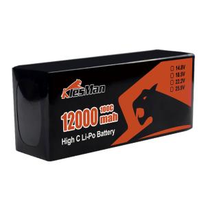 China 10inch FPV Lipo Battery 6S 22.2V 12000mAh for Racing FPV Drone with XT60 Connector Lipo battery factory