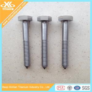 China Factory Price for Gr2 and Gr5 Titanium Self Tapping Screws factory