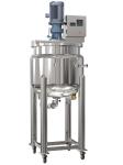Stainless Steel Liquid Soap Mixer Machine Homogenizer Mixing Tank 0-3600rpm