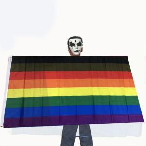 China Hanging Party LGBT Flag Pennant Lesbian Pride Flag Custom Size factory