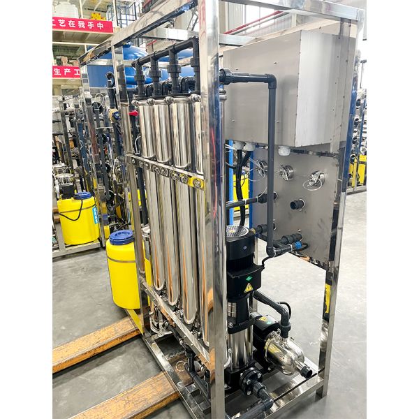 1000lph One Pass Ozone Water Purifier for Industrial Water Filtration and Purification