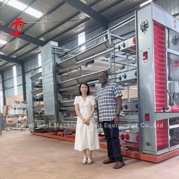 Hot Deep Galvanized Broiler Cage System 25 Years Lifespan For Chicken Rearing