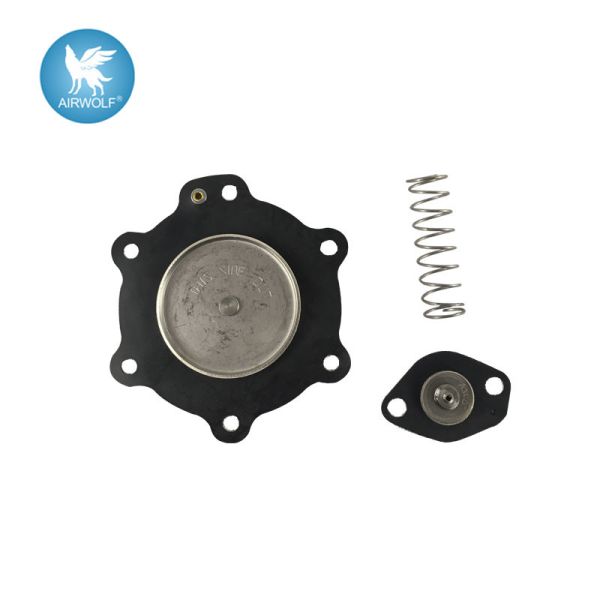 C113827 Diaphragm Repair Kit For ASCO SCG353A047 Pulse Valve