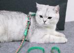 Christmas Xs Small Kitten Harness And Leash Green Red Nylon Strap