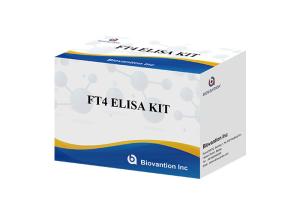China FT4 Elisa Test Kit Free Thyroxine Blood Test Serum Specimen factory
