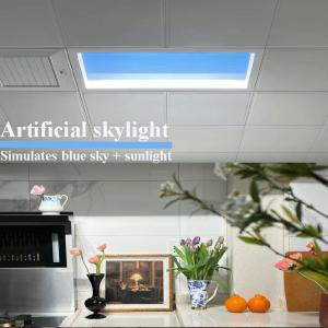 China Artificial Daylight Faux Skylight Panels 100W Ceiling Recessed Mounted Dimmable factory