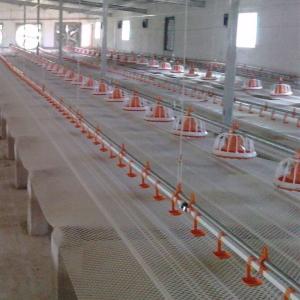 China Broiler Feeding Pan Poultry Drinking Line Nipple Drinker For Quail factory