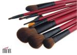 Red Beautiful Travel Foundation Makeup Brushes Professional Set 11 Piece