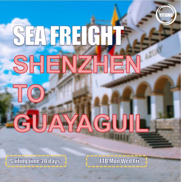 WIFFA Sea Freight Logistics Transport From Shenzhen To Guayaguil Ecuador South