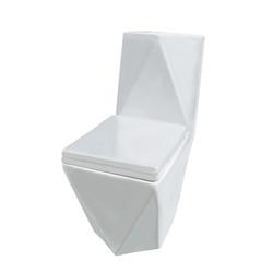China Dual Flush Elongated One Piece Toilet Washdown With Soft-Closing Seat factory