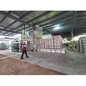 Broccoli Vegetable Vacuum Cooler Customized Processing Capacity 6 Pallets/Batch