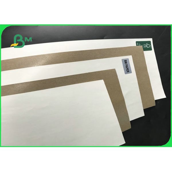 pe coated kraft paper