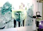 RIP Software UV Painting Inkjet Wall Printer 720X1440dpi Advertising