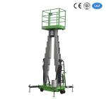 10 Meters Height Aerial Work Platform Double Mast Hydraulic Vertical Lift Table