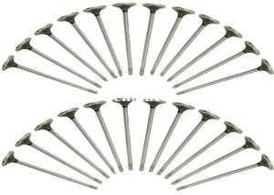 China Deutz TCD2012 Intake Exhaust Valves D6e Engine 04285985 04285986 factory