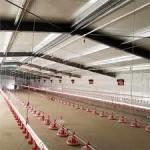 High Rise Steel Building Construction For Poultry House Bolts Connection And