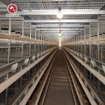 Modern Poultry Automatic Battery Egg Layer Chicken Cages For Sale A Type Chicken
