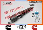 4062090 Diesel Engine Common Rail QSX23 Fuel Injector 4077076 4902827 4088431
