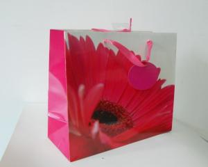 China red wine bag paper wine bag factory