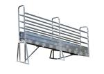 Heavy Duty Steel Livestock Ramp , Double Swing Gates Adjustable Loading Ramp