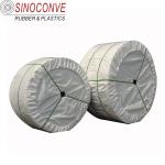 2-3m Wide ST1250 Endless Rubber Conveyor Belt for Cogeneration Plants in Energy