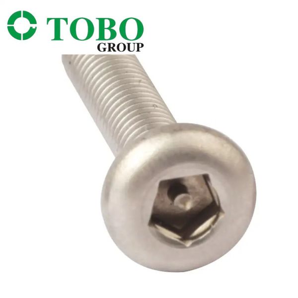 China Stainless Steel Pentagonal Witn Pin Anti-Theft Bolt Security Bolts For Doors factory