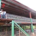 Angle Bar Frame Poultry Battery Cage System H Type Layer Chicken Cage Africa
