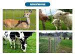 Field Fence, Farm Fence, Cattle Fence