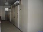 CE SGS Fish Freezing Walk In Coldroom 0.4mm Steel Blast Freezer Cold Room