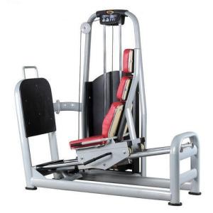 China Seated Leg Press factory