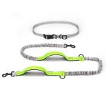 Pet Belt Elastic Night Reflective Silk Drawstring Traction Rope Outdoor Running