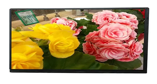 10.1 Transmissive LCD TFT Display Full Viewing Angle LVDS Interface 40 Pins