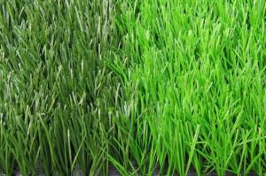 China Lead Free Football Artificial Grass PE Material Oliver Green Color factory