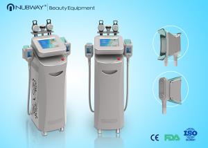 China Big Sale --- Cryolipolysis vacuum slimming beauty machine with Bottom Price factory
